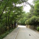 [서울] 북악산 자락에 자리한 도심 속의 푸른 허파, 삼청공원 ~~ (말바위, 말바위조망대, 한양도성) 이미지