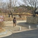 장독 | 가볼만한곳 - 아산투어 &amp; 아산여행 (설 연휴 뒤늦은 후기) 아산외암민속마을 > 아산 현충사 > 아산...