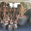 현제농장 이미지