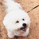 홍길동테마파크 이미지