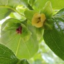 대길농장 이미지