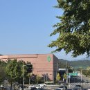 올스본코리아 고잔지점 | 대구는 떡볶이에 진심이라 떡볶이 박물관도 있다고요; 대구 [신전뮤지엄]