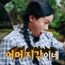 팔마장