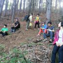 하정농장 이미지