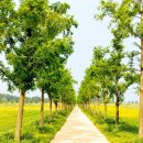 경포저류지 이미지