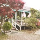 메이플트리레스토랑 이미지