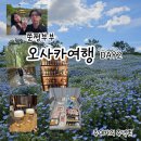 짠물 | 20260509 쭌쩡부부 오사카여행 DAY2(네모필라 마이시마 유리엔, 교토여행, 금각사, 아라시야마 치쿠린...