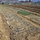 미도농장 이미지