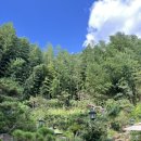 보성미가 | •내돈내산•보성 녹차 한옥카페 춘운서옥 방문후기