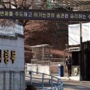 남현동-41 이미지