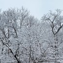 마당소프트 이미지