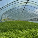 한재나드리 이미지