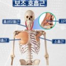 조산 | 경북 상주필라테스 | 임산부호흡, 만출기호흡, 산전운동, 임산부운동, 자연분만호흡