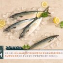 참치사한연어