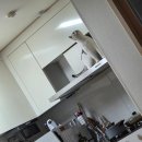 고양이 별 | 둘째 태어나고 고양이 반응 후기 (별 반응 없었어요)