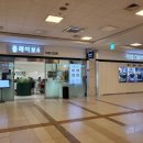 텀널분식