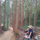 현송요양병원 이미지