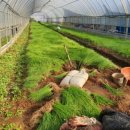 달래농장 이미지