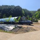 강원특별자치도 홍천군 황토집매매 2억7천만원 이미지