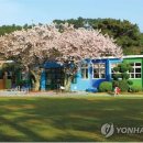 무지개슈퍼 이미지