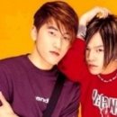 추억의 날개 이미지