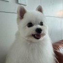 오류로 이미지