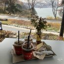 카페하인츠 이미지