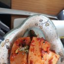 금보라꼬마김밥