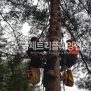 남양주 트리클라이밍 &amp; 몽키클라이밍 고정형 공사 이미지