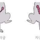 아이웰 동물의료센터 이미지