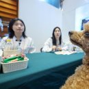 열린동물병원 이미지