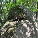 고갯마루 이미지