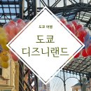 도쿄 디즈니랜드 입장권 구매 가격 평일 주말 및 기념품 정보