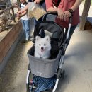 황해목장 이미지