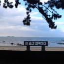 대천 티스토리