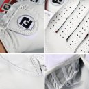 석교세탁 | 골프장갑 풋조이 카브레타소프 CABRETTASOF 남성 양피 가성비 따져본 솔직 정리