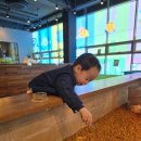 크레이쥬 이미지