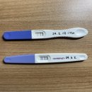 김밥천국(방촌점) | [Mar-Apr. 일상] 기쁨과 괴로움의 나날들(임신 5주차~12주차 증상 기록)