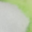 류내과의원 이미지