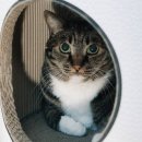 강한우리동물병원 이미지