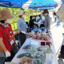 로컬푸드직매장(새롬동) 이미지