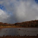 사라의 정원 이미지