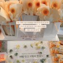 땀박골 | 『어깨부터 허리까지 철심박고 배낭여행』 출간 기념 북토크 여행 에세이