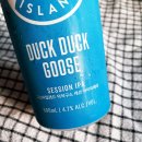 덕덕구스(DUCK DUCK GOOSE) 이미지