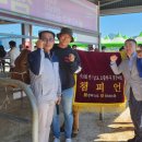 자연한우 이미지