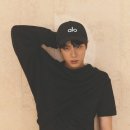 알로 이미지