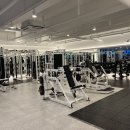 새로이 핏 이미지