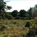 토산보건진료소 이미지