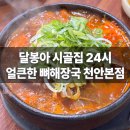 시골집달봉아24시얼큰한뼈해장국
