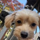 씨유 수원현대점 | 얼레벌레 일주일